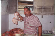 junior023a.jpg